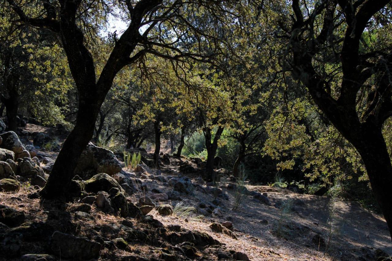La Costanilla De Los Angeles Navalcan Dış mekan fotoğraf